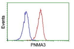 PNMA3 Mouse anti-Human, Clone: OTI1C3, lyophilized, TrueMAB 100 &mu;g;