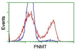 PNMT Mouse anti-Human, Clone: OTI2A2, lyophilized, TrueMAB 100 &mu;g; Unconjugated:Antibodies,