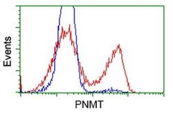 PNMT Monoclonal Antibody (OTI2A2), TrueMAB , OriGene 30 &mu;L; Unconjugated:Antibodies,