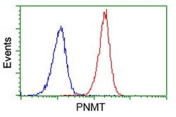 PNMT Mouse anti-Human, Clone: OTI2A2, lyophilized, TrueMAB 100 &mu;g; Unconjugated:Antibodies,