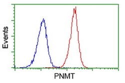 PNMT Monoclonal Antibody (OTI2A2), TrueMAB , OriGene 30 &mu;L; Unconjugated:Antibodies,