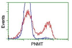 PNMT Monoclonal Antibody (OTI2E3), TrueMAB , OriGene 30 &mu;L; Unconjugated:Antibodies,