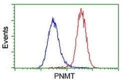 PNMT Monoclonal Antibody (OTI2E3), TrueMAB , OriGene 30 &mu;L; Unconjugated:Antibodies,