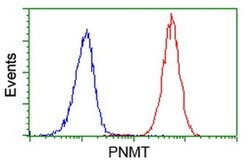 PNMT Monoclonal Antibody (OTI2E3), TrueMAB , OriGene 30 &mu;L; Unconjugated:Antibodies,
