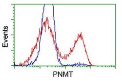 PNMT Monoclonal Antibody (OTI2G4), TrueMAB , OriGene 100 &mu;L; Unconjugated:Antibodies,