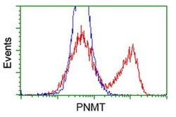 PNMT Monoclonal Antibody (OTI2A3), TrueMAB , OriGene 30 &mu;L; Unconjugated:Antibodies,