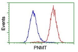 PNMT Monoclonal Antibody (OTI2A3), TrueMAB , OriGene:Antibodies:Primary