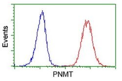 PNMT Monoclonal Antibody (OTI2A3), TrueMAB , OriGene 30 &mu;L; Unconjugated:Antibodies,
