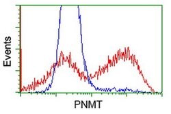 PNMT Monoclonal Antibody (OTI2H6), TrueMAB , OriGene 30 &mu;L; Unconjugated:Antibodies,