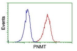 PNMT Monoclonal Antibody (OTI2H6), TrueMAB , OriGene 30 &mu;L; Unconjugated:Antibodies,