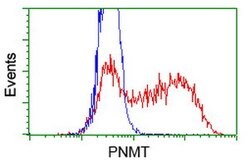PNMT Mouse anti-Human, Clone: OTI1B7, lyophilized, TrueMAB 100 &mu;g; Unconjugated:Antibodies,