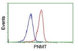 PNMT Mouse anti-Human, Clone: OTI1B7, lyophilized, TrueMAB 100 &mu;g; Unconjugated:Antibodies,