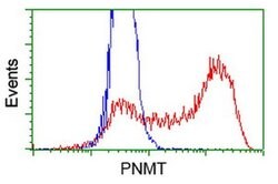 PNMT Monoclonal Antibody (OTI1D5), TrueMAB , OriGene 100 &mu;L; Unconjugated:Antibodies,