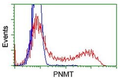 PNMT Monoclonal Antibody (OTI1F3), TrueMAB , OriGene 30 &mu;L | Buy Online | Origene Technologies | Fisher Scientific