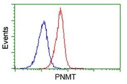 PNMT Mouse anti-Human, Clone: OTI1F3, lyophilized, TrueMAB 100 &mu;g; Unconjugated:Antibodies,
