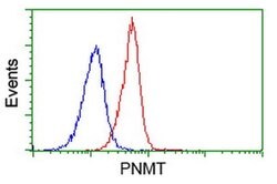 PNMT Monoclonal Antibody (OTI1F3), TrueMAB , OriGene 30 &mu;L | Buy Online | Origene Technologies | Fisher Scientific