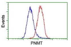 PNMT Monoclonal Antibody (OTI1F1), TrueMAB , OriGene 100 &mu;L; Unconjugated:Antibodies,