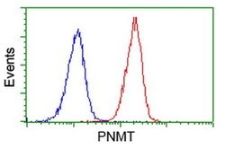 PNMT Monoclonal Antibody (OTI1F1), TrueMAB , OriGene 100 &mu;L; Unconjugated:Antibodies,