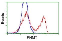 PNMT Monoclonal Antibody (OTI1B11), TrueMAB , OriGene 100 &mu;L; Unconjugated:Antibodies,