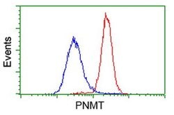 PNMT Monoclonal Antibody (OTI1B11), TrueMAB , OriGene 100 &mu;L; Unconjugated:Antibodies,