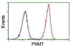 PNMT Monoclonal Antibody (OTI1B11), TrueMAB , OriGene 100 &mu;L; Unconjugated:Antibodies,
