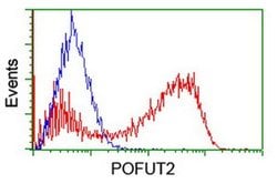 POFUT2 Monoclonal Antibody (OTI1A6), TrueMAB , OriGene 100 &mu;L; Unconjugated:Antibodies,
