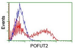 POFUT2 Mouse anti-Human, Clone: OTI5H1, lyophilized, TrueMAB 100 &mu;g;