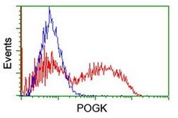 POGK Monoclonal Antibody (OTI2D5), TrueMAB , OriGene 100 &mu;L; Unconjugated:Antibodies,