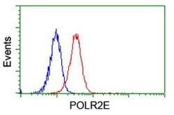 POLR2E Mouse anti-Canine, Human, Mouse, Rat, Clone: OTI3B5, lyophilized,