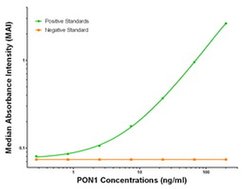 PON1 Mouse anti-Human, Clone: OTI1F7, liquid, TrueMAB 100 &mu;g; Unconjugated:Antibodies,
