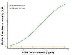 PON1 Mouse anti-Human, Clone: OTI2A6, liquid, TrueMAB 100 &mu;g; Unconjugated:Antibodies,