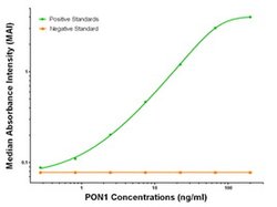 PON1 Mouse anti-Human, Clone: OTI2A6, liquid, TrueMAB 100 &mu;g; Unconjugated:Antibodies,