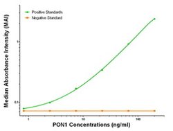 PON1 Mouse anti-Human, Clone: OTI2D4, liquid, TrueMAB 100 &mu;g; Unconjugated:Antibodies,