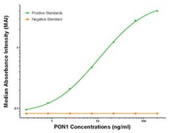 PON1 Mouse anti-Human, Clone: OTI2D4, liquid, TrueMAB 100 &mu;g; Unconjugated:Antibodies,
