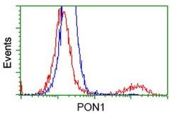 PON1 Mouse anti-Human, Clone: OTI2A6, lyophilized, TrueMAB 100 &mu;g | Buy Online | Origene Technologies | Fisher Scientific