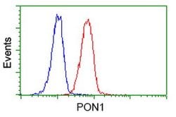 PON1 Mouse anti-Human, Clone: OTI2A6, lyophilized, TrueMAB 100 &mu;g | Buy Online | Origene Technologies | Fisher Scientific