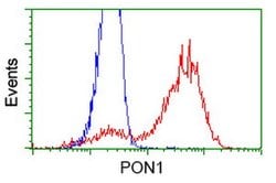 PON1 Mouse anti-Human, Clone: OTI2A9, lyophilized, TrueMAB 100 &mu;g; Unconjugated:Antibodies,