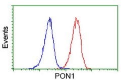PON1 Mouse anti-Human, Clone: OTI2A9, lyophilized, TrueMAB 100 &mu;g; Unconjugated:Antibodies,