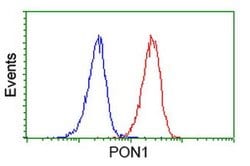 PON1 Monoclonal Antibody (OTI2A9), TrueMAB , OriGene 100 &mu;L; Unconjugated:Antibodies,