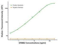 PON1 Mouse anti-Human, Clone: OTI1F7, liquid, TrueMAB 100 &mu;g; Unconjugated:Antibodies,