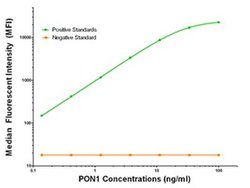 PON1 Mouse anti-Human, Clone: OTI2A6, liquid, TrueMAB 100 &mu;g; Unconjugated:Antibodies,