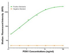 PON1 Mouse anti-Human, Clone: OTI2A6, liquid, TrueMAB 100 &mu;g; Unconjugated:Antibodies,