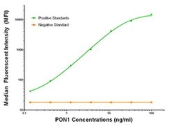 PON1 Mouse anti-Human, Clone: OTI2D4, liquid, TrueMAB 100 &mu;g; Unconjugated:Antibodies,