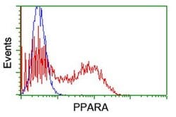PPARA Monoclonal Antibody (OTI3G3), TrueMAB , OriGene 30 &mu;L; Unconjugated:Antibodies,