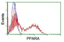 PPARA Monoclonal Antibody (OTI2E7), TrueMAB , OriGene:Anticuerpos:Anticuerpos