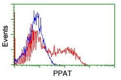PPAT Monoclonal Antibody (OTI2C2), TrueMAB , OriGene 30 &mu;L; Unconjugated:Antibodies,