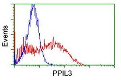 PPIL3 Mouse anti-Human, Clone: OTI1G3, lyophilized, TrueMAB 100 &mu;g;