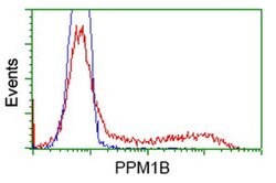 PPM1B Monoclonal Antibody (OTI3C2), TrueMAB , OriGene 100 &mu;L; Unconjugated:Antibodies,