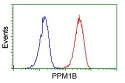 PPM1B Mouse anti-Canine, Human, Rat, Clone: OTI3F2, lyophilized, TrueMAB