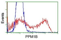 PPM1B Monoclonal Antibody (OTI3C9), TrueMAB , OriGene 100 &mu;L; Unconjugated:Antibodies,